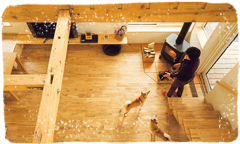 どこにいても木に包まれる愛犬と過ごす心地よいわが家