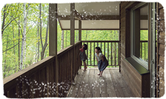 家にいながら四季を感じる自然とともに暮らせる住まい